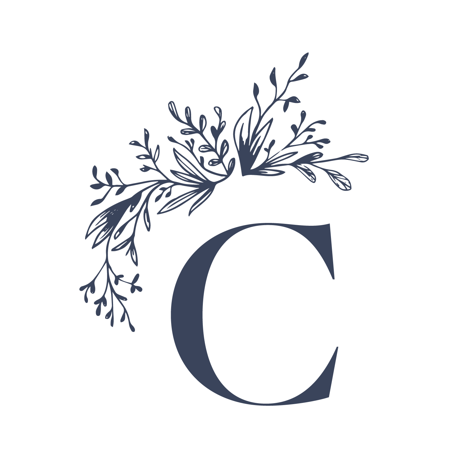 C'zar Salon Spa | Elevating the Chicagoland Suburbs Since '84